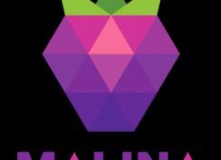 malina-casino-logotype-243x176-2